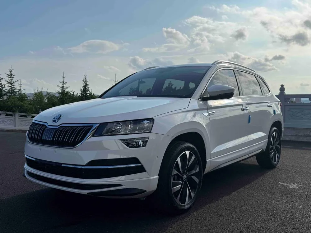 Skoda Karoq, 2022