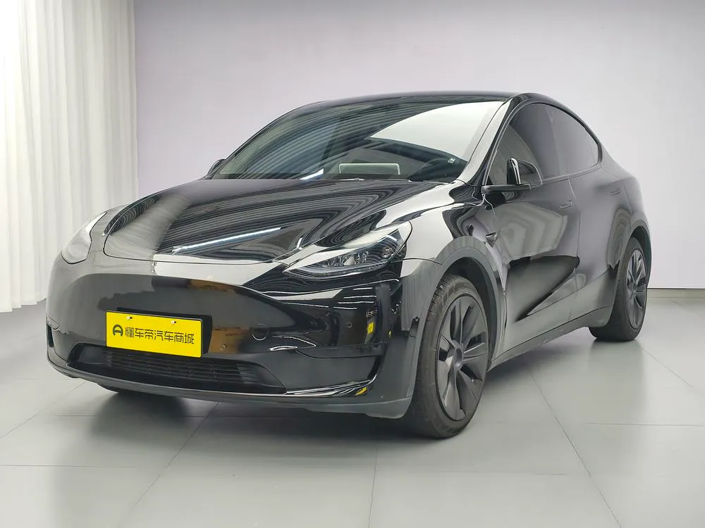 Tesla Model Y Edition, 2023 — фото 1