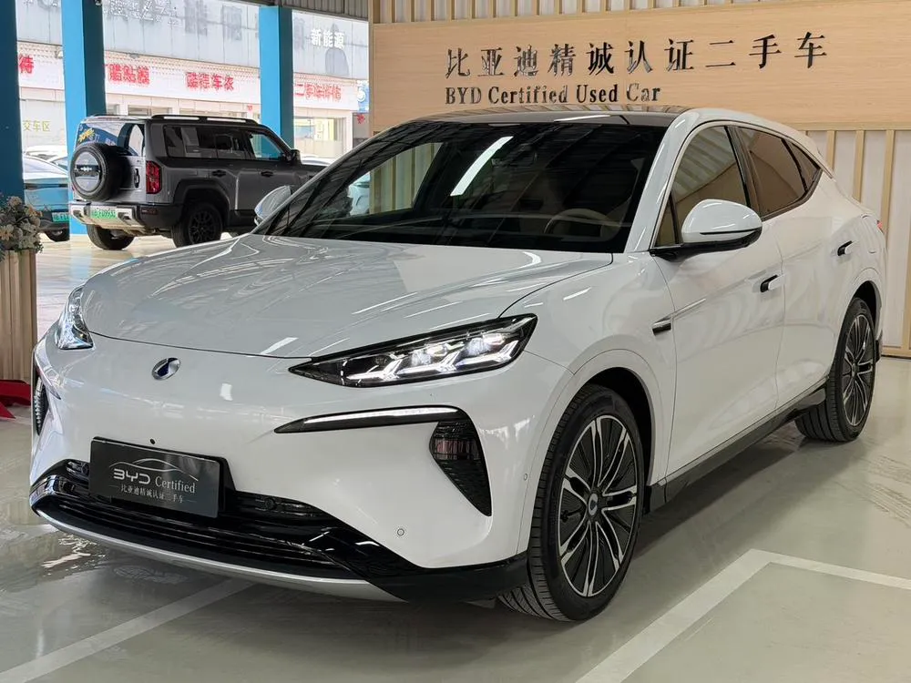 Denza N7, 2024
