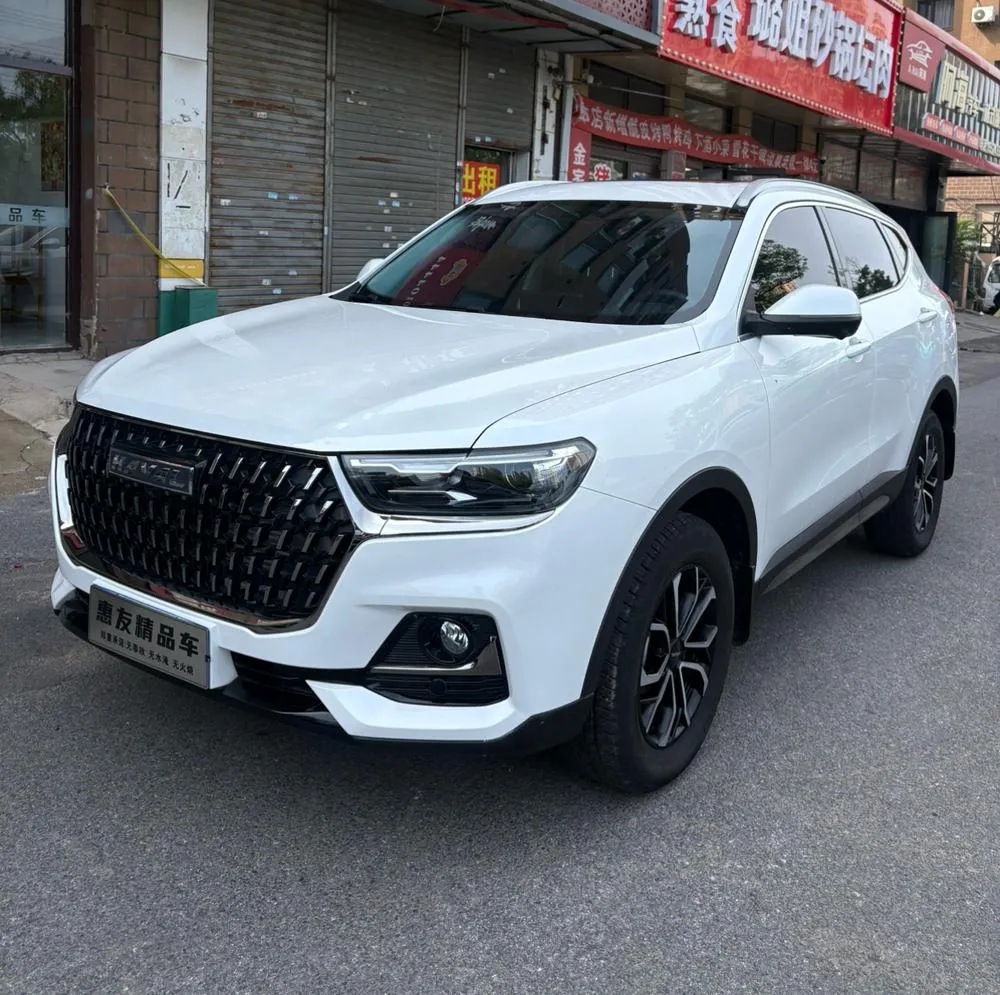 Haval H6, 2023