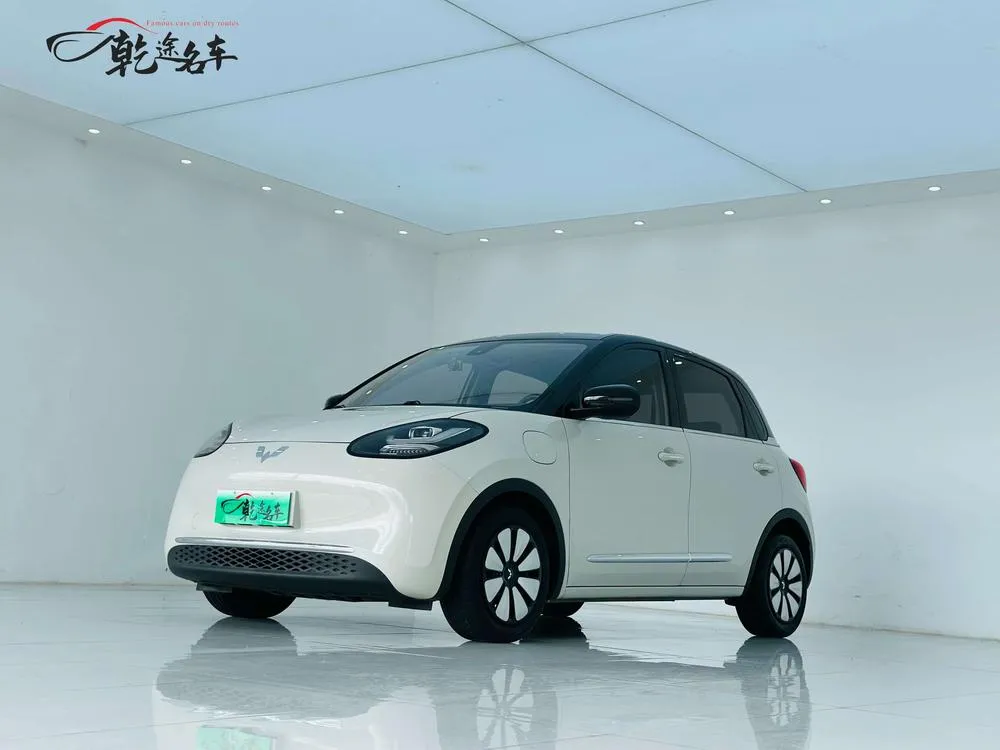 Wuling Bingo, 2023