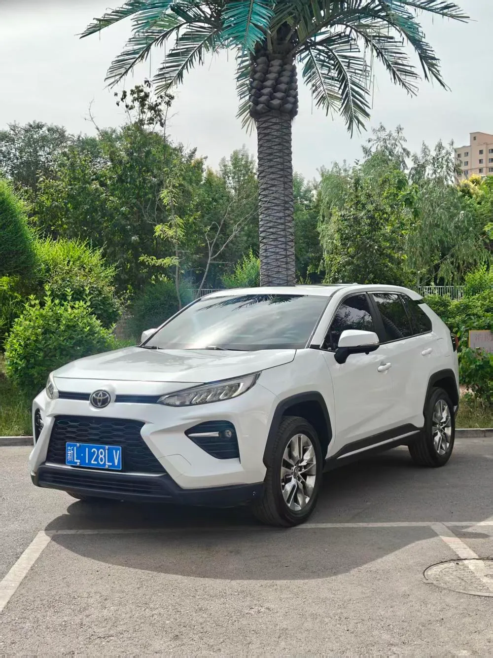 Toyota Wildlander 2.0L 2WD Leading Edition, 2022 — фото 1