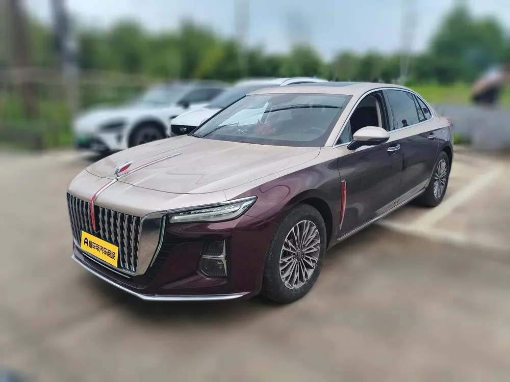 Hongqi H5, 2024