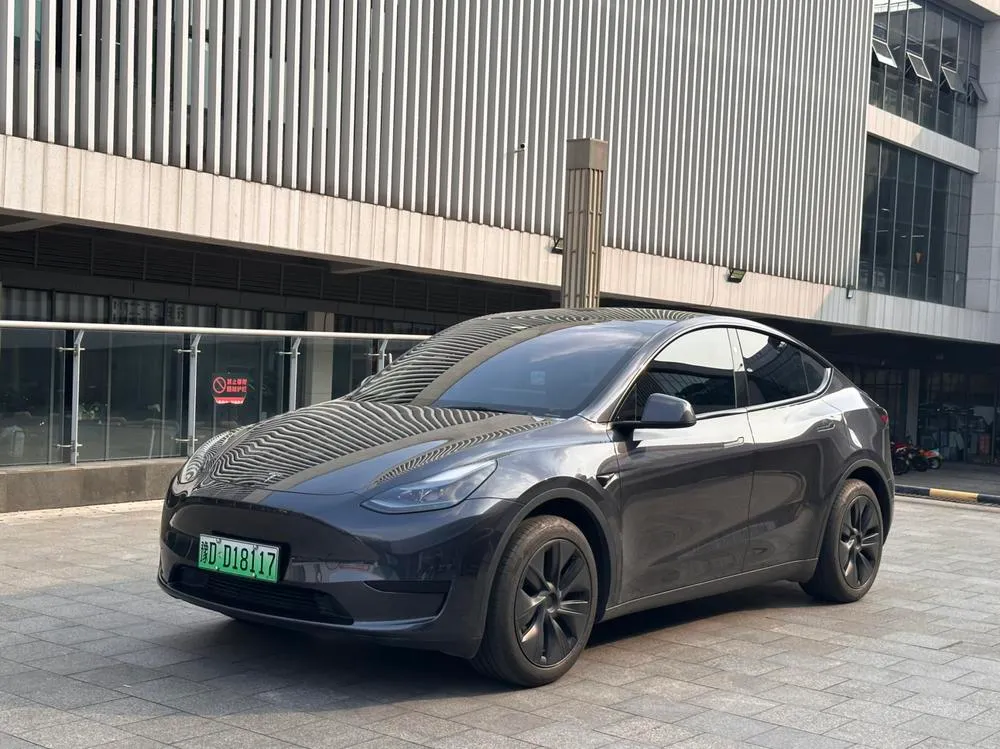 Tesla Model Y Edition, 2024 — фото 1