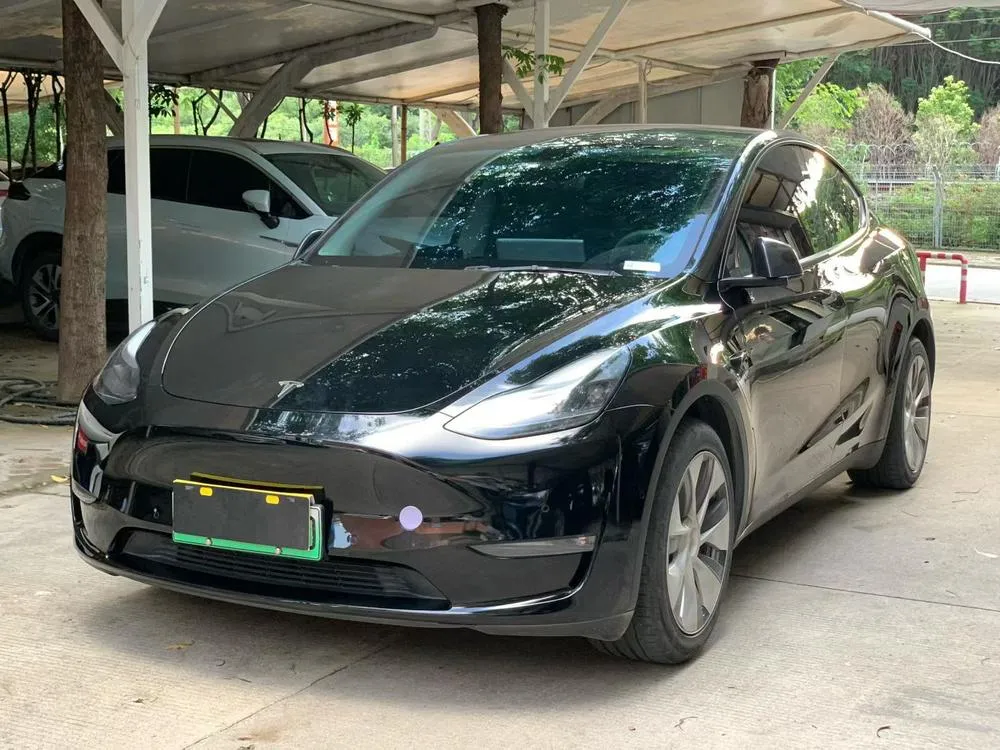 Tesla Model Y Standard Range Edition, 2021 — фото 1