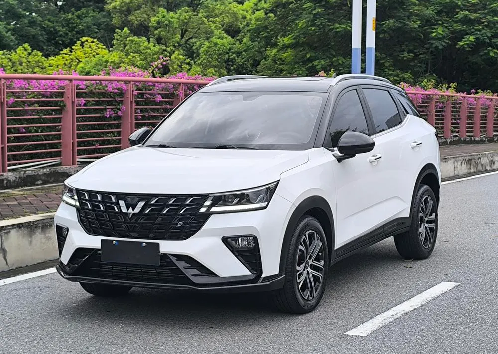 Wuling Xingchi, 2022