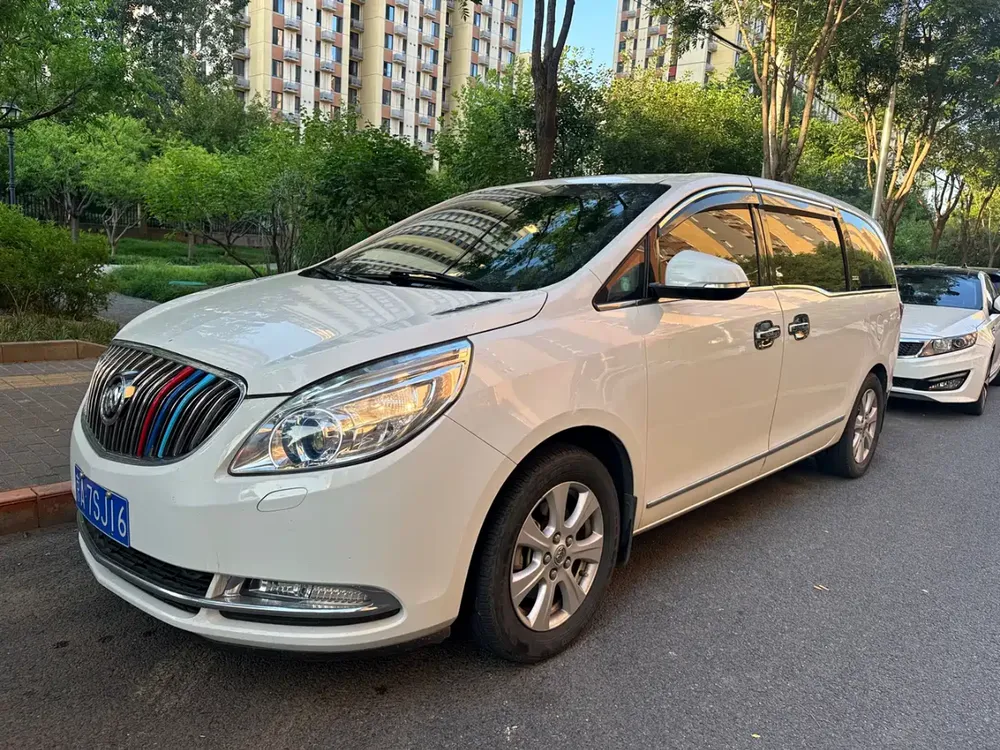 Buick GL8 3.0L GT Luxury Business Elegant Edition, 2014 — фото 1