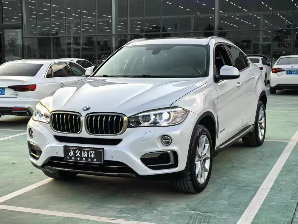 BMW X6 xDrive28i, 2018 — фото 1