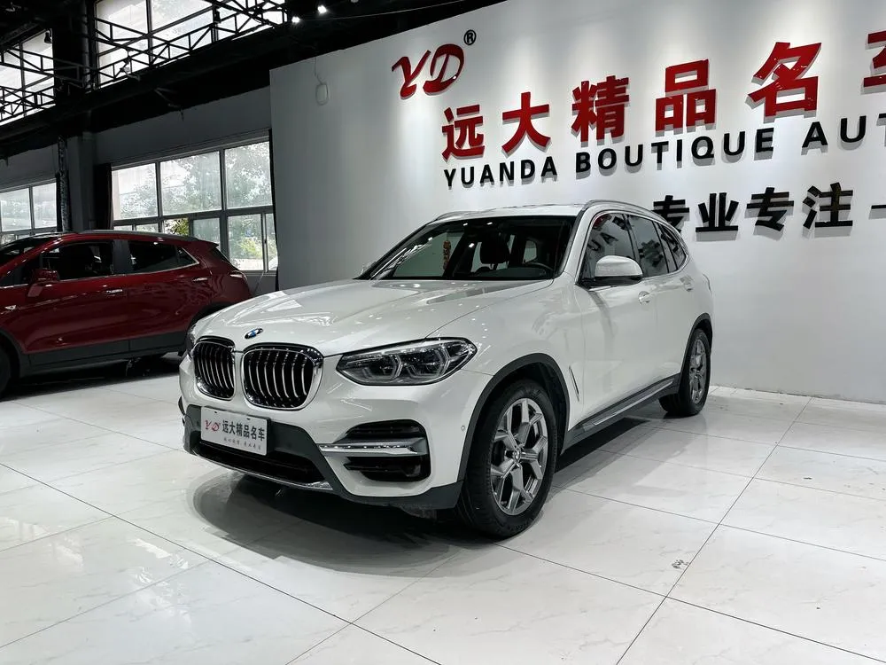 BMW X3 xDrive28i Luxury, 2020 — фото 1