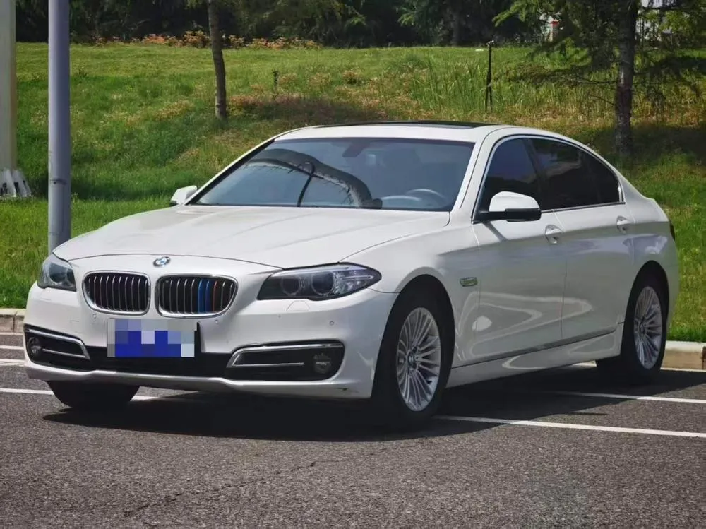 BMW 5-Series 525Li Leading Version, 2014 — фото 1