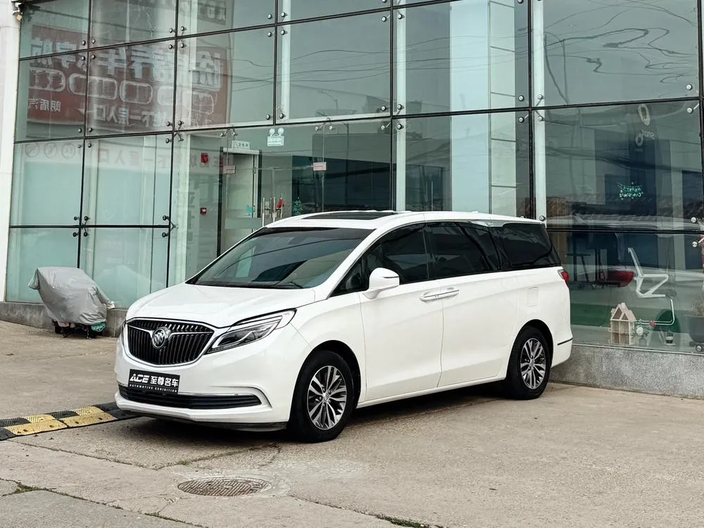 Buick GL8 ES 28T Luxury Version CN6, 2018 — фото 1