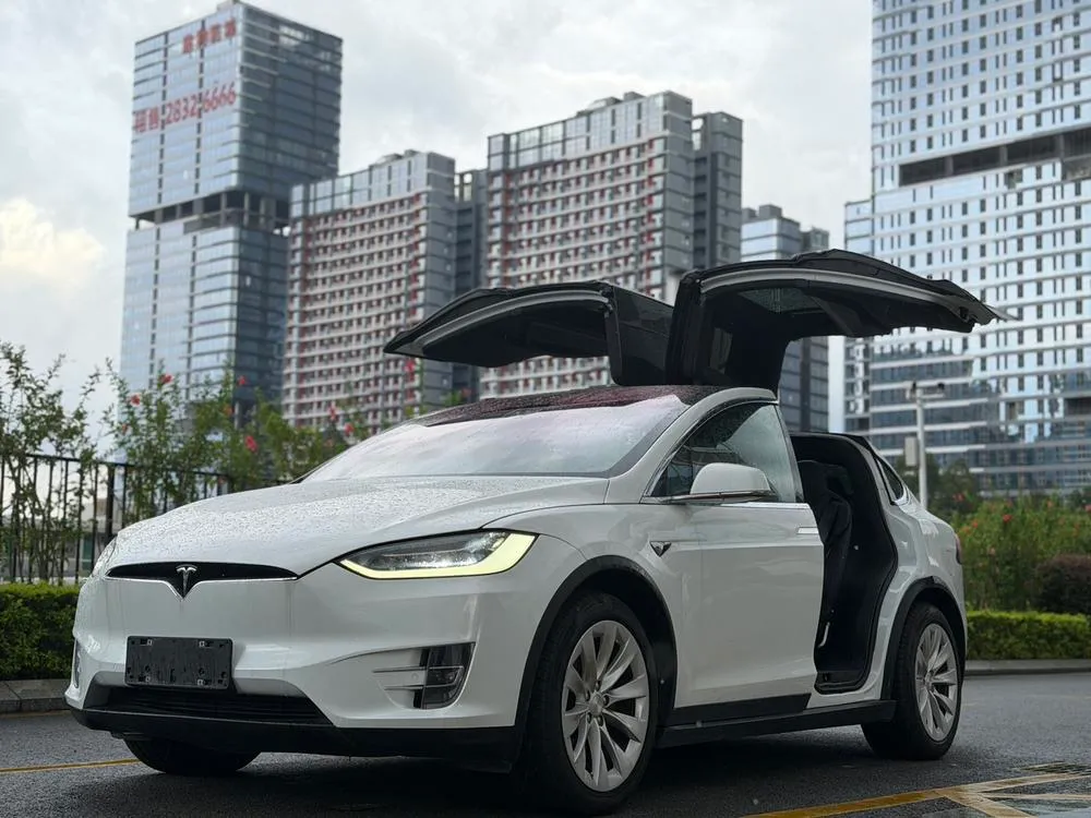Tesla Model X Long Range Edition, 2019 — фото 1