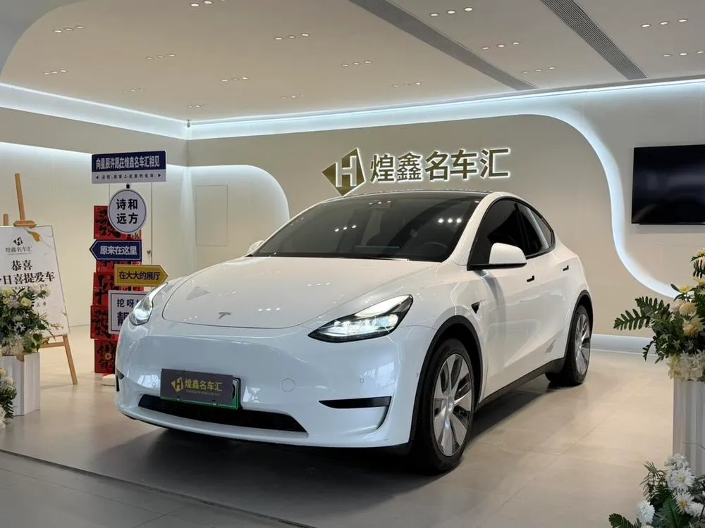 Tesla Model Y Edition, 2022 — фото 1
