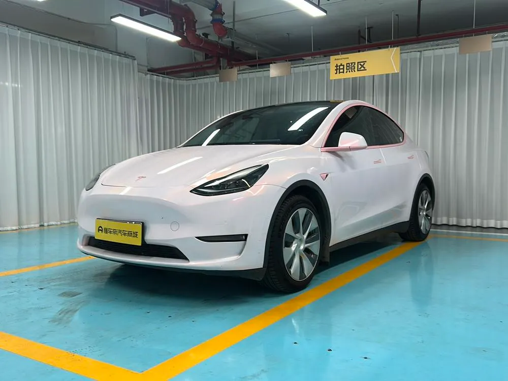 Tesla Model Y Standard Range Edition, 2021 — фото 1