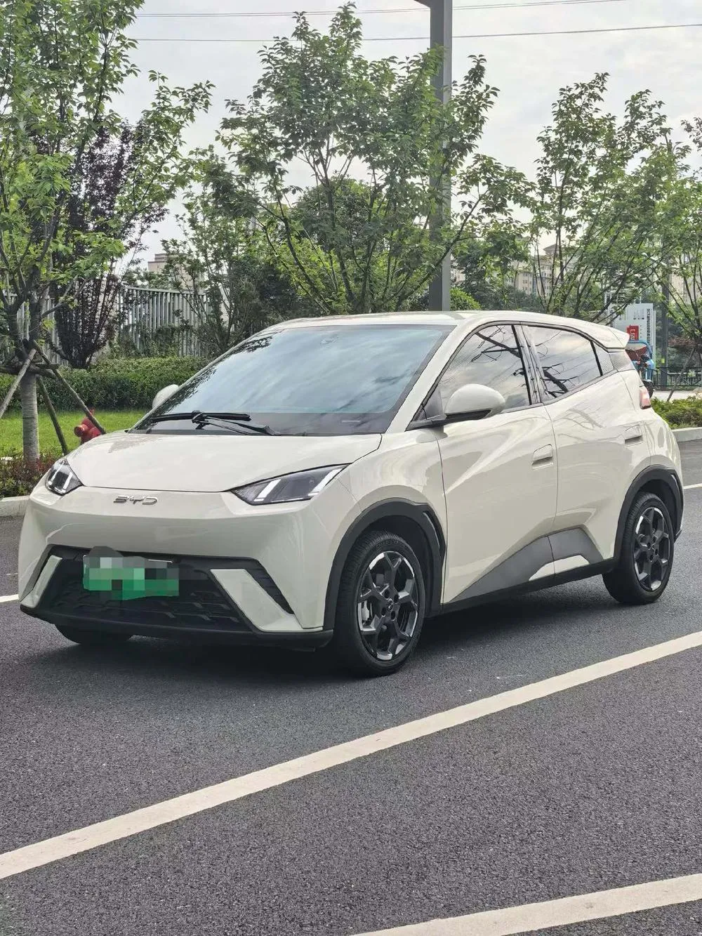 BYD Seagull Glory Edition 305KM Edition, 2024 — фото 1