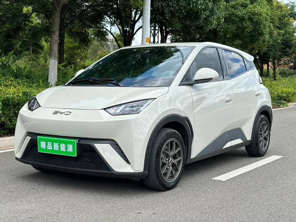 BYD Seagull Glory Edition 305KM Edition, 2024 — фото 1