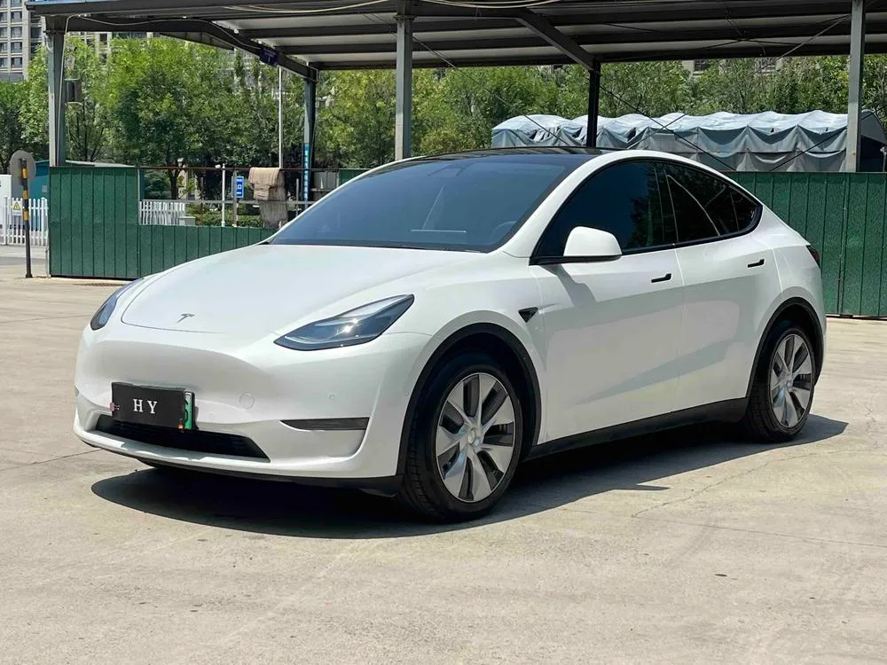 Tesla Model Y Standard Range Edition, 2021 — фото 1