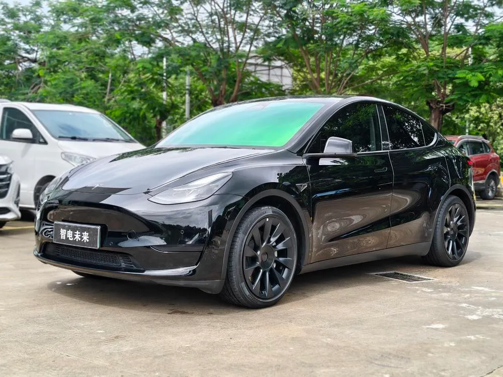 Tesla Model Y Edition, 2022 — фото 1