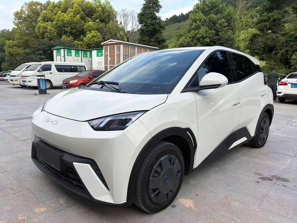 BYD Seagull Glory Edition 305KM Edition, 2024 — фото 1