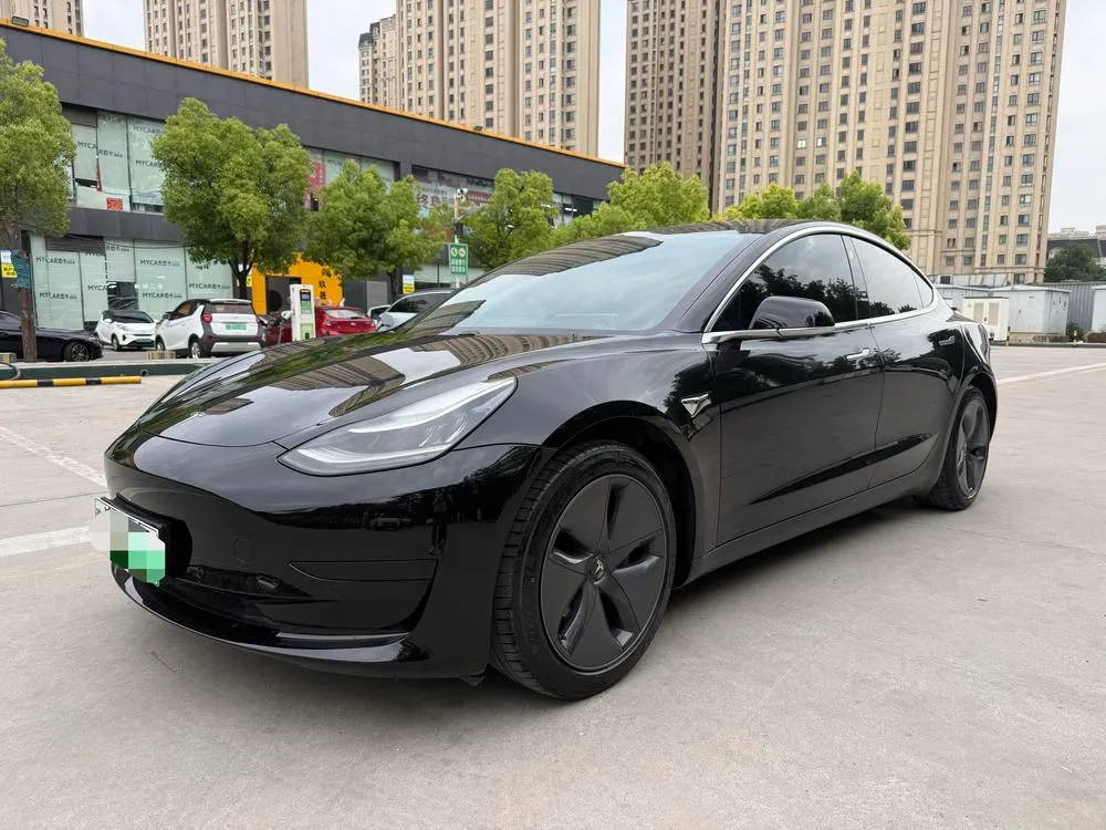 Tesla Model 3 Standard Range RWD Upgraded Edition, 2020 — фото 1