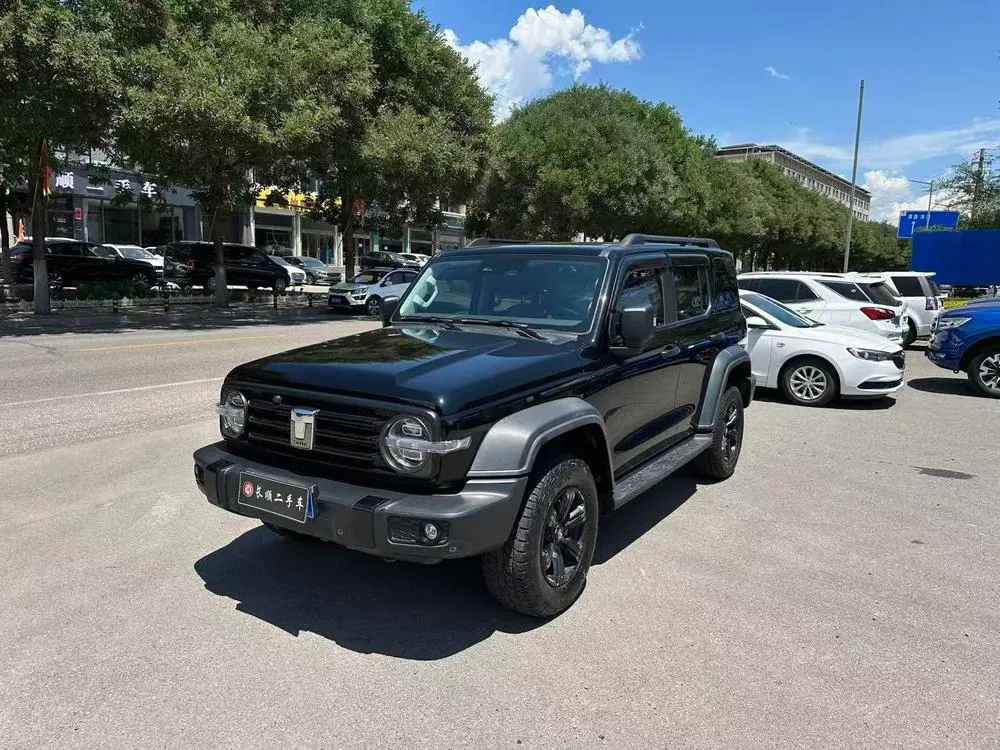 Tank 300 Offroad Edition 2.0T, 2021 — фото 1
