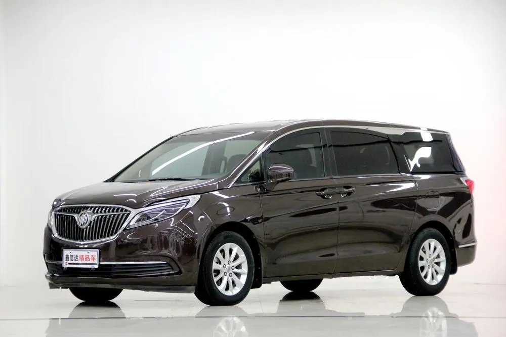Buick GL8 ES 28T Prestige Version CN5, 2017 — фото 1