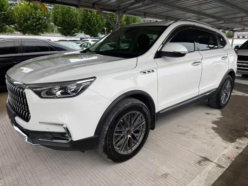 Leopaard Mattu 1.6T GDI DCT Premium Version, 2018 — фото 1
