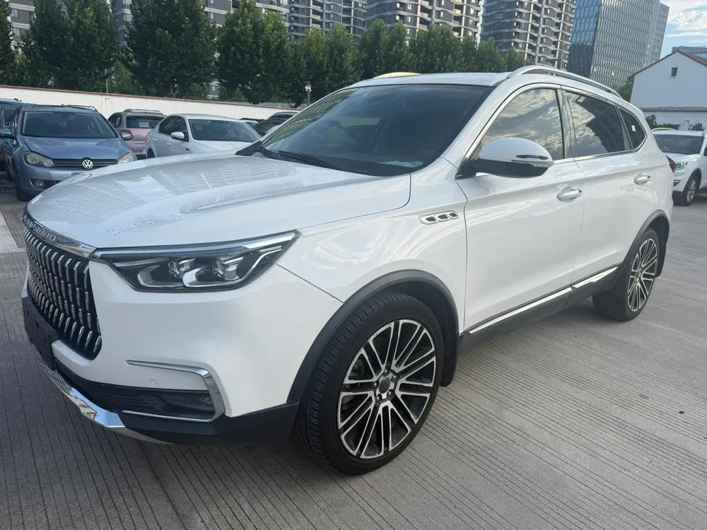 Leopaard Mattu 1.6T GDI DCT Premium Version, 2018 — фото 1