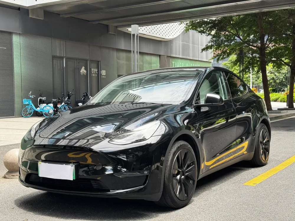 Tesla Model Y, 2021