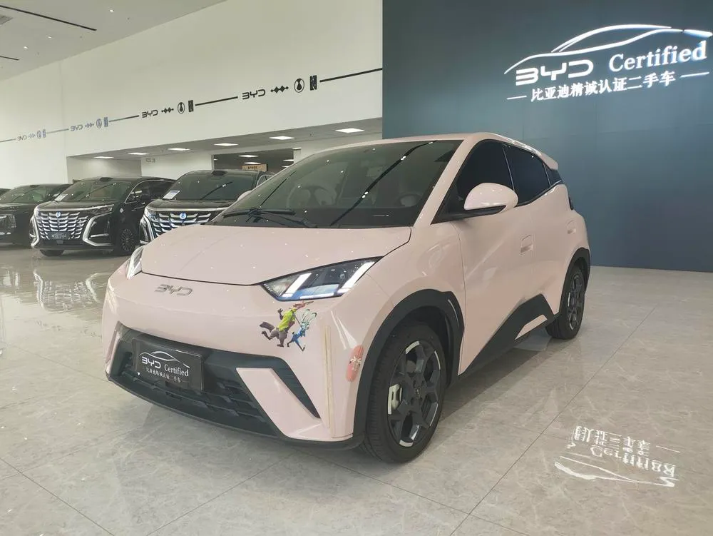 BYD Seagull 305KM Edition, 2025 — фото 1