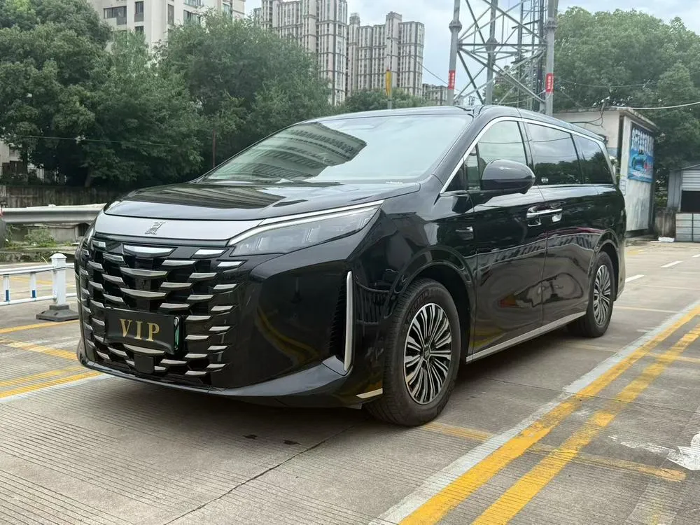BYD Xia, 2025