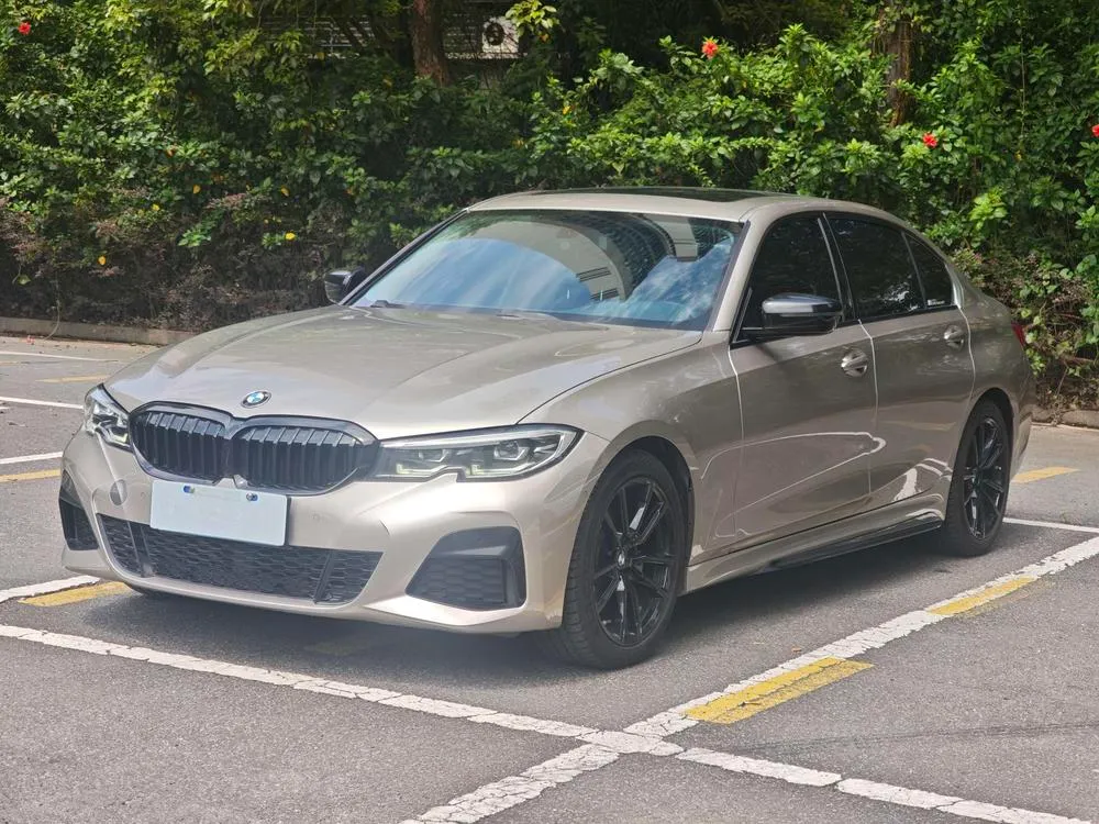 BMW 3-Series 320Li M Sport, 2020 — фото 1