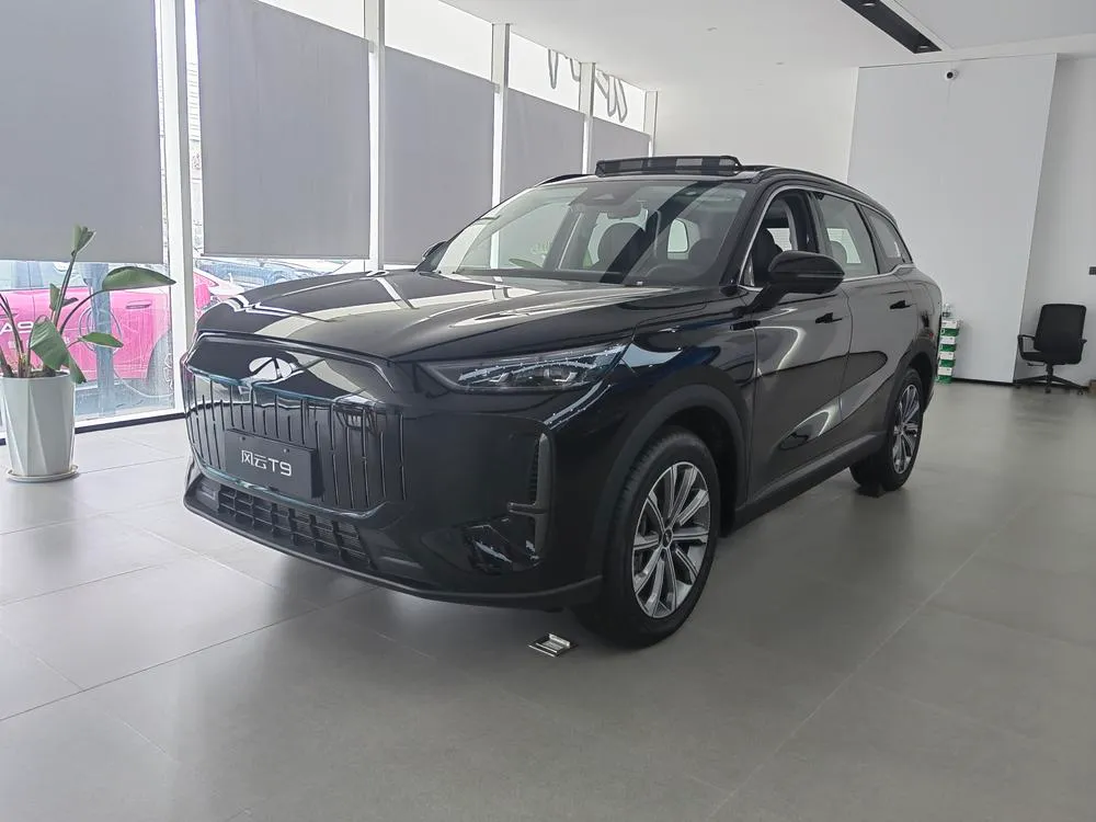 Chery Fengyun Fengyun T9 120KM увеличенный запас хода Люкс батарея LFP, 2025 — фото 1