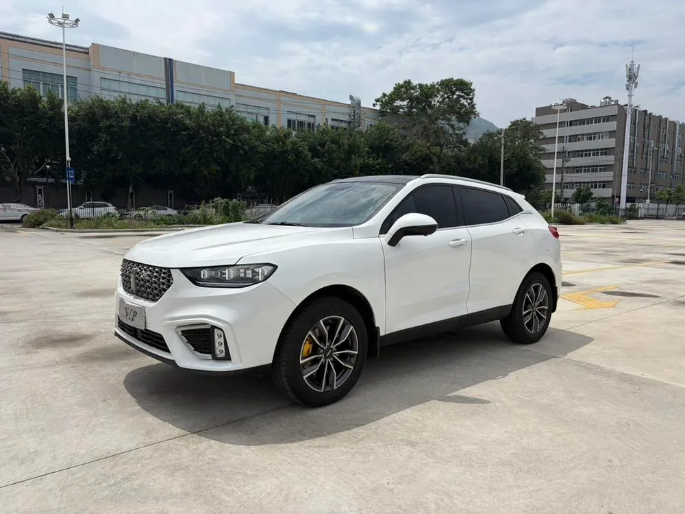 Wey VV5, 2021