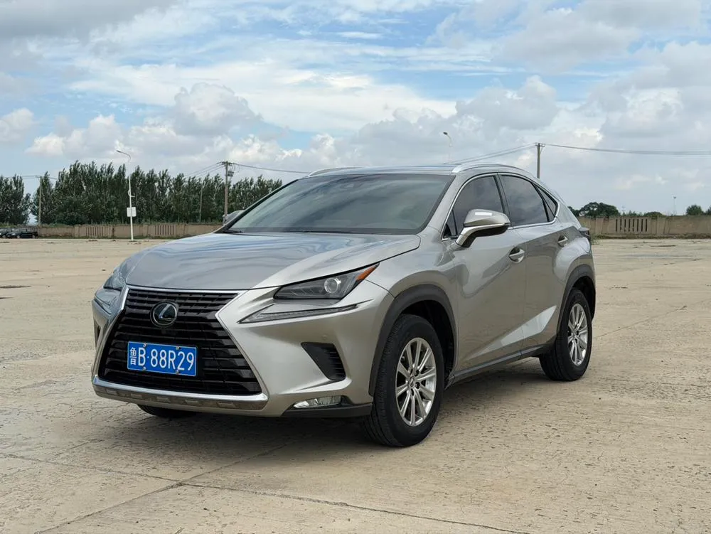 Lexus NX, 2018