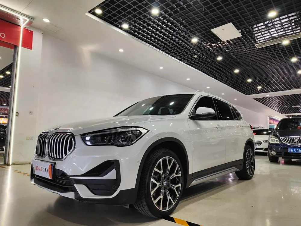BMW X1 xDrive25Li Prestige Version, 2020 — фото 1