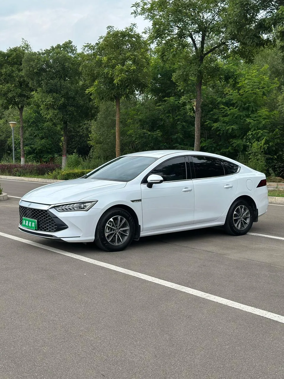 BYD Qin PLUS DM Glory Edition DM-i 55KM Leading Version, 2024 — фото 1