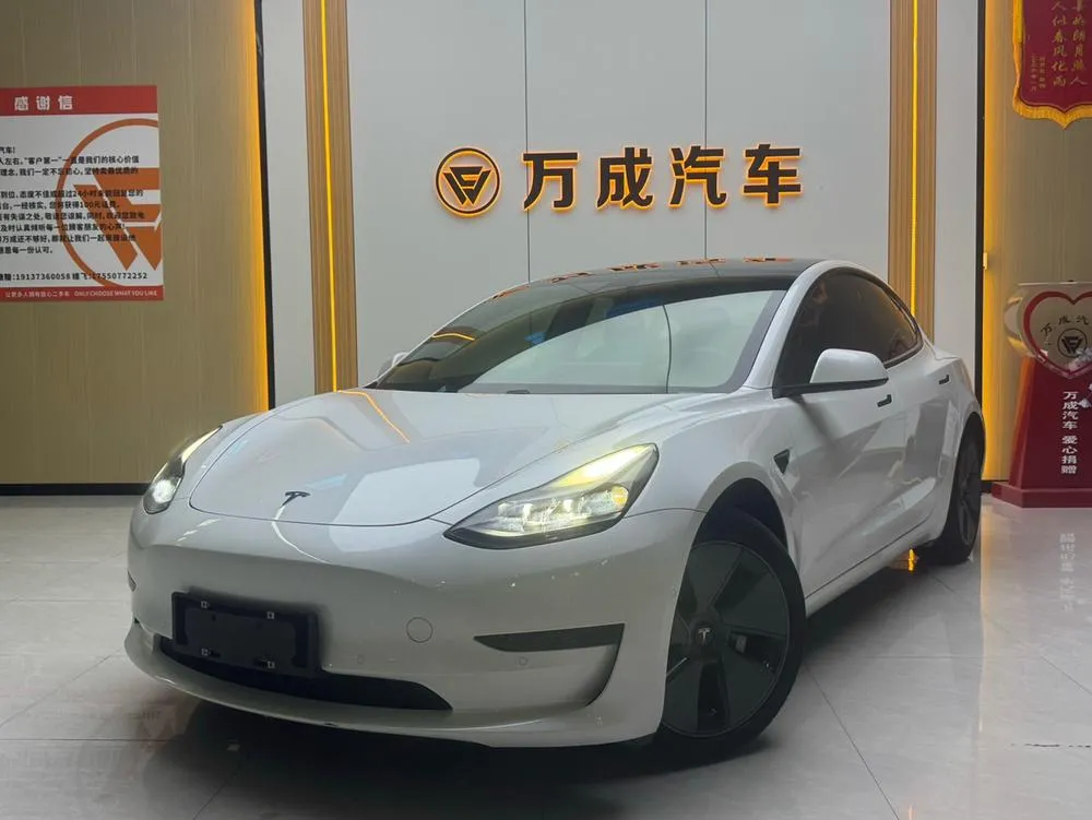 Tesla Model 3, 2020