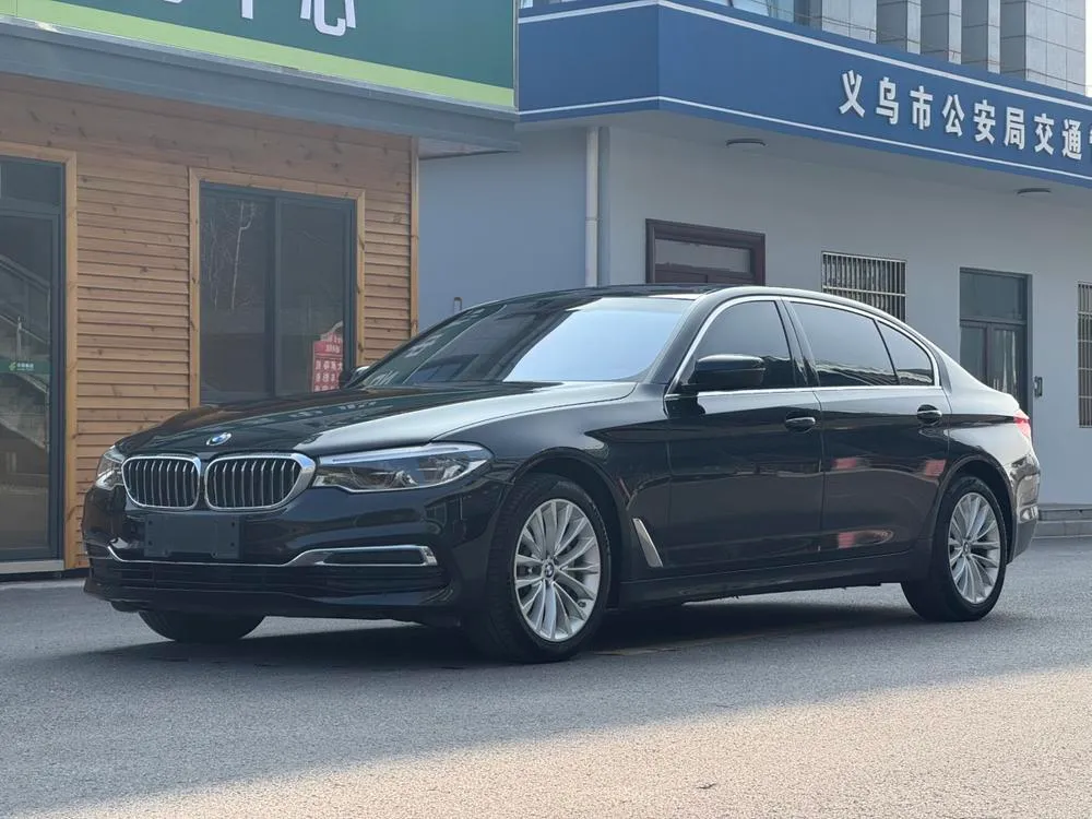 BMW 5-Series 530Li xDrive Luxury, 2020 — фото 1