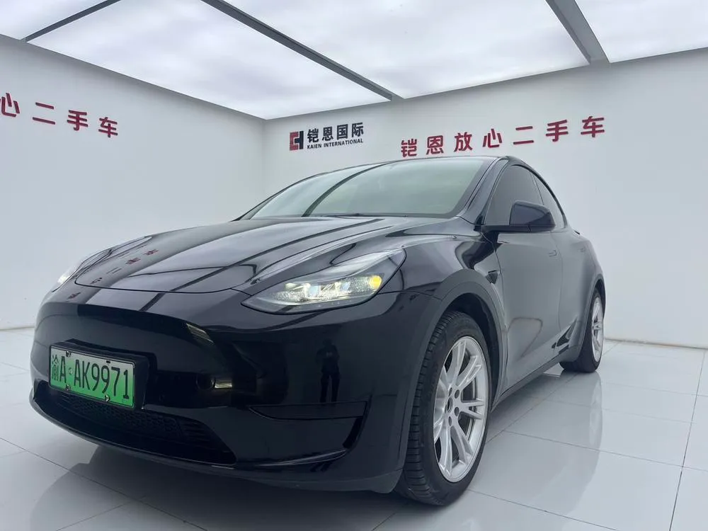 Tesla Model Y Edition, 2023 — фото 1