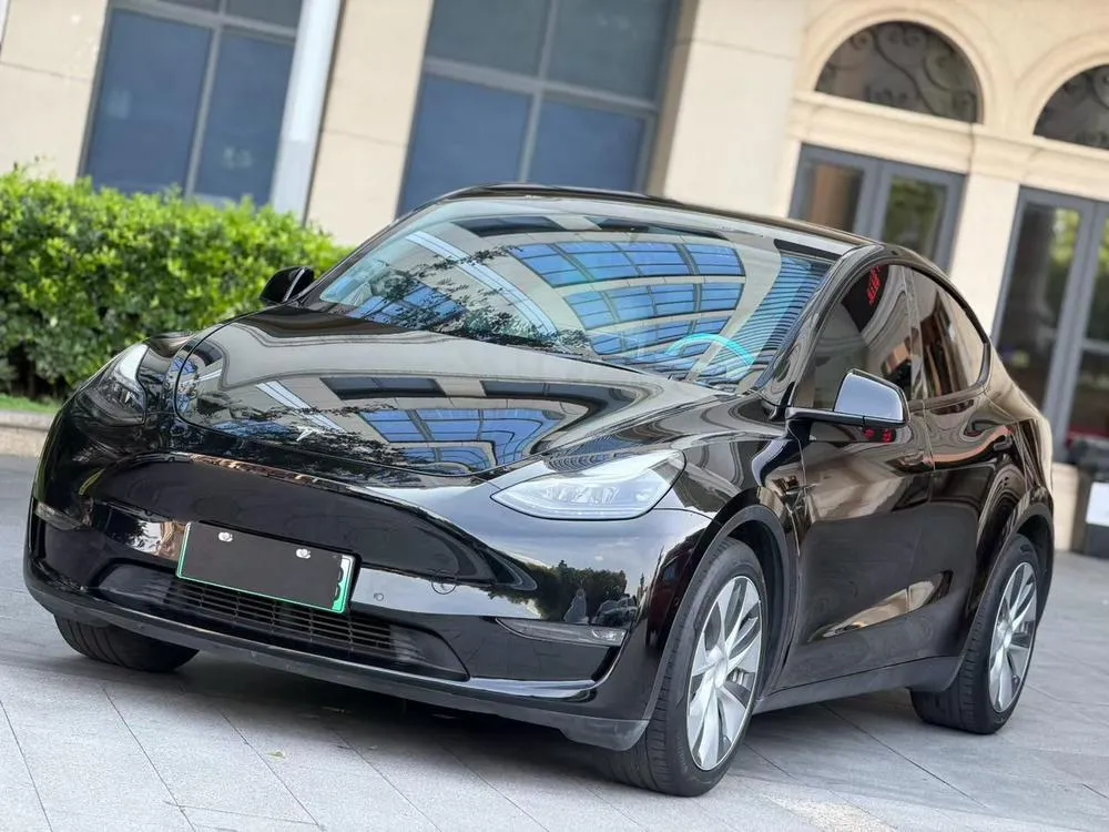 Tesla Model Y Standard Range Edition, 2021 — фото 1