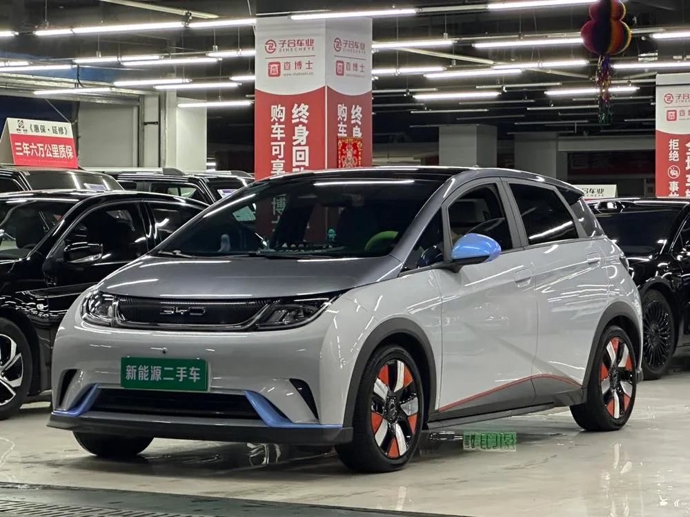 BYD Dolphin, 2021
