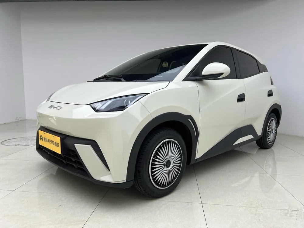 BYD Seagull, 2023