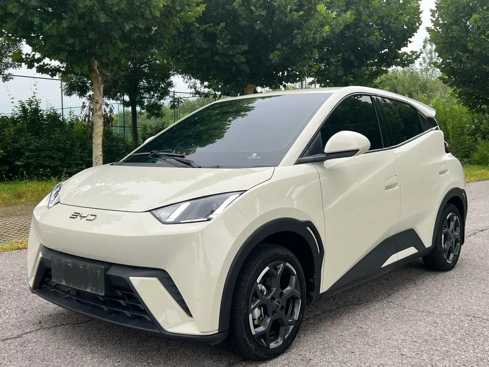 BYD Seagull, 2024