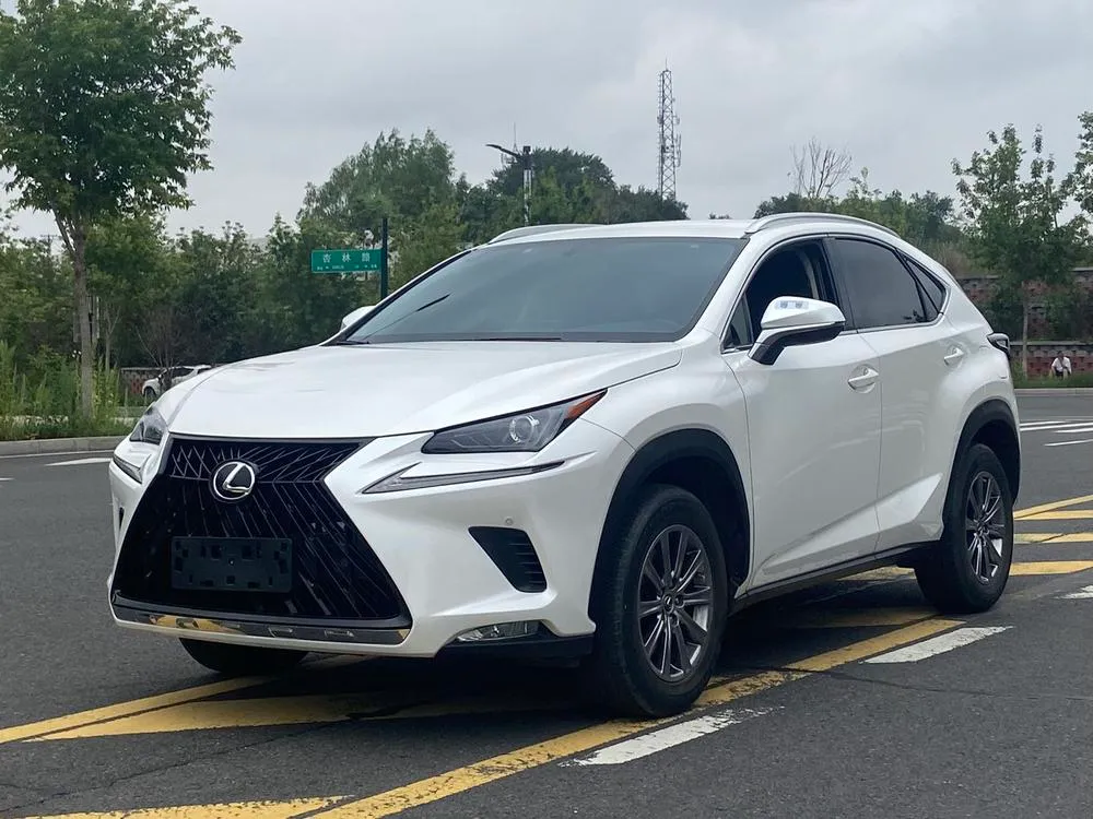Lexus NX 200 FWD Edition CN6, 2020 — фото 1