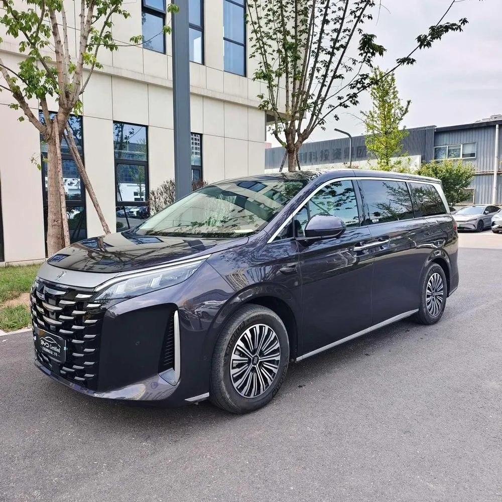 BYD Xia DM-i 180KM Version, 2025 — фото 1