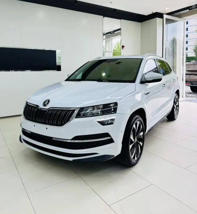 Skoda Karoq, 2023