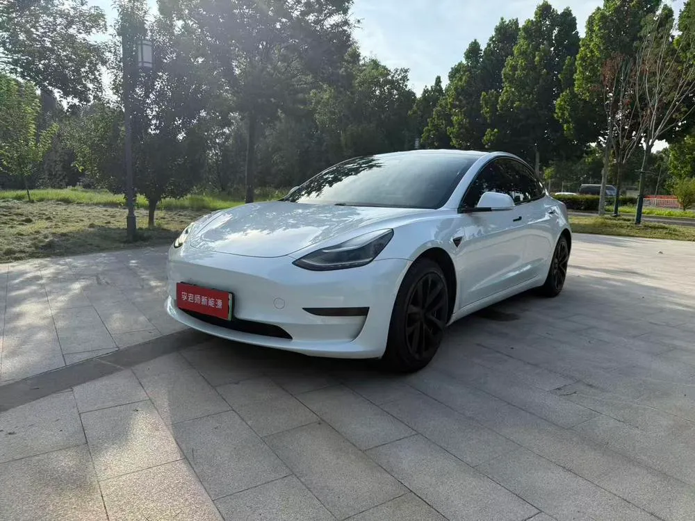 Tesla Model 3 Standard Range RWD Upgraded Edition, 2020 — фото 1