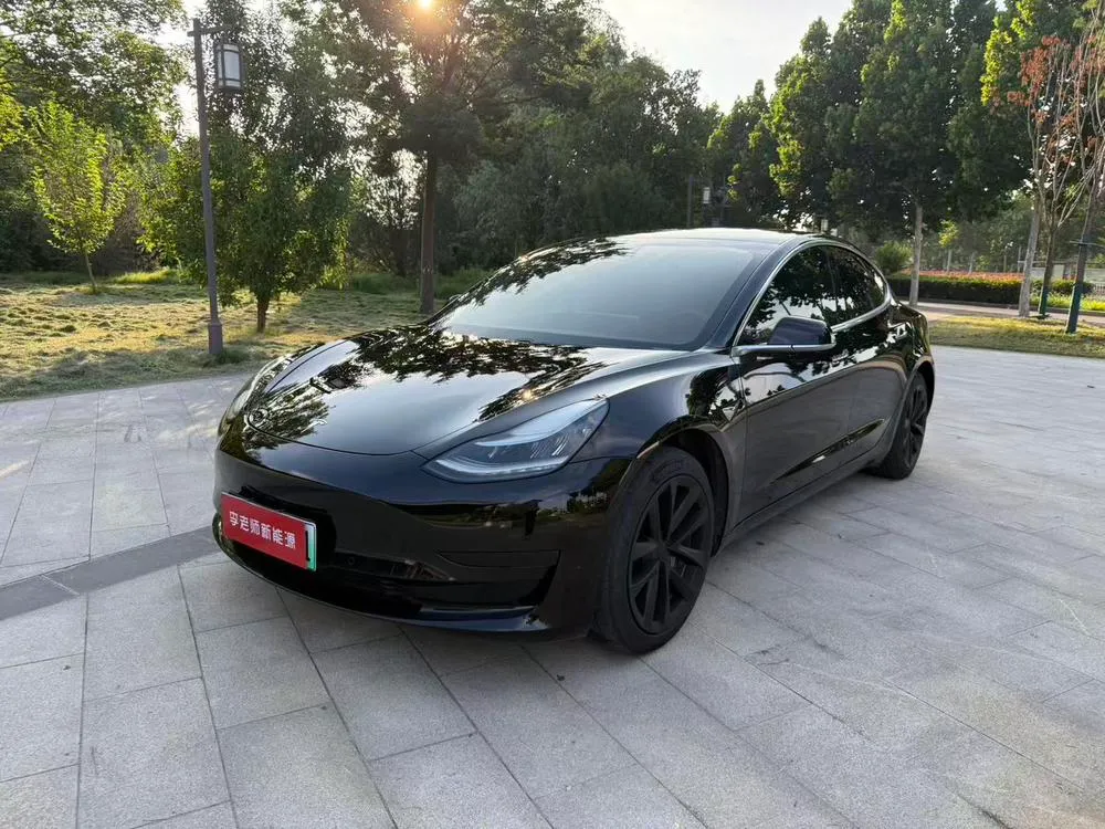 Tesla Model 3 Standard Range RWD Upgraded Edition, 2020 — фото 1