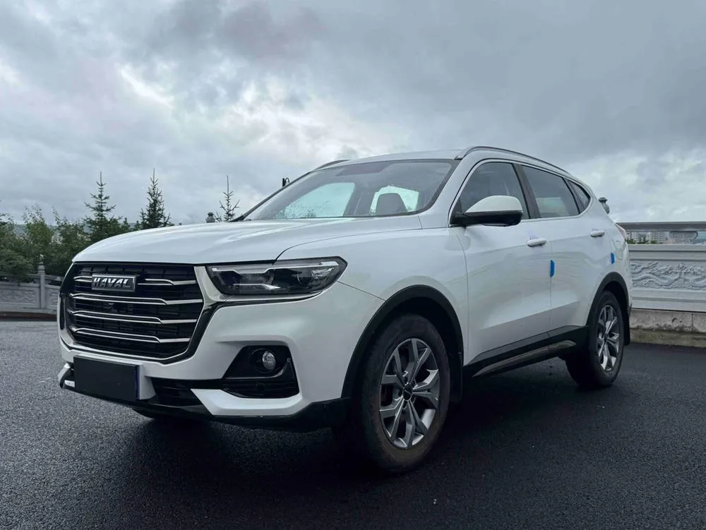 Haval H6 Trendy Edition 1.5T Auto Champion Edition, 2021 — фото 1